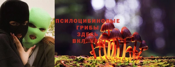 СК Белокуриха