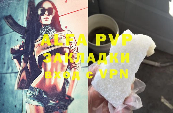 СК Белокуриха