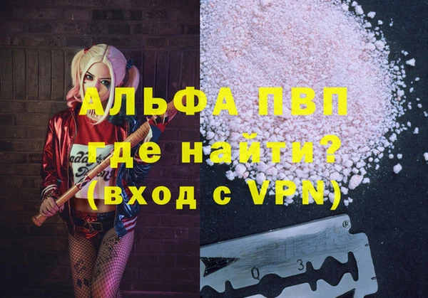 СК Белокуриха