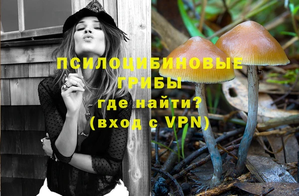 СК Белокуриха