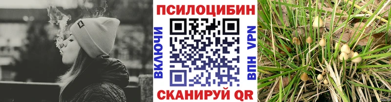 Галлюциногенные грибы мицелий  Светогорск 