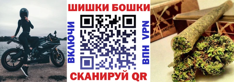 мега ссылка  Светогорск  Бошки Шишки AK-47  купить наркотик 